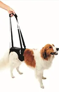 HAPPY PET Lifting Harness for Pets Dogs Adjustable Straps Detachable Fleece, Dog Support Harness, Pet Walking Aid Lifting Pulling Vest Sling Support Rehabilitation for Old & Injured Dogs (X Large)