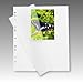 Produktbild 100 Blatt Fotokarton HERMA 7569 weiß mit Pergaminblatt 230x297 mm