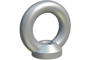 KEPLE M16 Tuerca anular, tornillería de sujeción, tuerca de elevación hembra en forma de anillo, acero galvanizado tuercas anuladoras para perno/tornillo DIN 582 de 8 mm (paquete de 2)