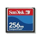 transcend 256 mb compact flash  SanDisk 256 MB Compact Flash Card