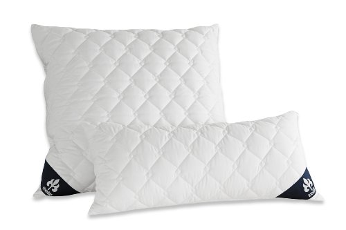 Badenia 3840850123 Bettcomfort Kissen, Irisette Micro Thermo 80 x 80 cm weiß - 3
