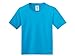 Produktbild Jerzees jer04663 T-Shirt Youth Klein California Blau