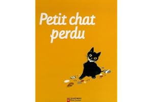 Petit chat perdu + 1 peluche