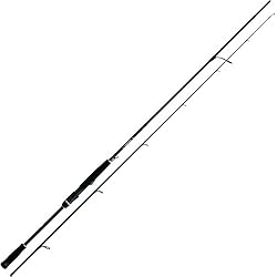 Daiwa Caña Spinning prorex AGS