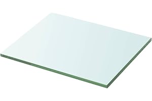 vidaXL Hyllplan glas genomskinlig 20x25 cm