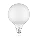 Price comparison product image ledscom.de E27 LED Globe Lamp Filament Extra Mat G125 8W =60W Warm White (2700K) 800lm For Indoor And Outdoor