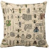 Gankering pillow perfect Decorative Cotton 18 X 18 Twin Sides Vintage Insects Entomology Reversible Cotton Throw Pillowcases