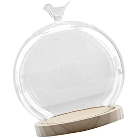 Suchergebnis auf Amazon.de für: kuchenglocke glas - Wohnaccessoires