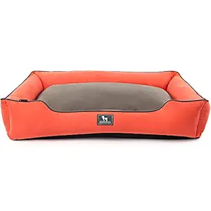 Heads Up For Tails Classic Lounger Beds for Dogs - Coral with Grey - XL