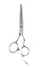 Shears Direct Japanese Hitachi Premium Vg 10 Stainless Styling Shear, 6.0 Inch, 2.7 Ounce RS.17699.00