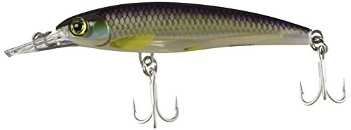 Preisvergleich Produktbild Rapala XXX-Rap Wobbler 10,0cm PBH