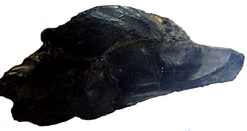 Preisvergleich Produktbild Fossil Cavern White Jet Specimen St17 Holz-Mineral, 429 g, 150 mm