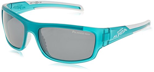 Alpina Sonnenbrille Amition Testido P Outdoorsport-Brille