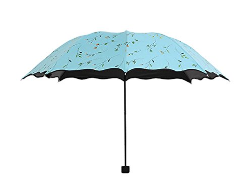 Preisvergleich Produktbild Hosaire 1x Faltbar Regenschirm / Umbrella