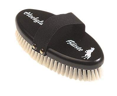 Megatape-Reitsport (Leistner) Brillante Cepillo, pequeño