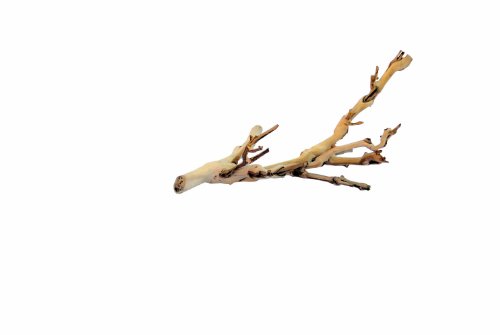 Exo Terra Forest Branch