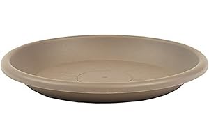 greemotion Blumentopfuntersetzer Taupe - Untersetzer Blumen mit 58 cm Durchmesser Höhe 8,1 cm - Pflanzkübel Untersetzer aus Kunststoff - Pflanzenuntersetzer rund - Pflanzen-Untertopf