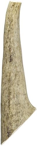 Chasing Our Tails Elk Rack Snack, 100-Percent All Naturally Shed Elk Antler Chew, Medium Size 5-Inch to 7-Inch, For up to 40# Dogs