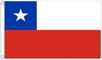 Flagtex Chile Small Flag