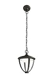 Voltaje de la bombilla 230 V Philips myGarden Robin - Lámpara Colgante, iluminación Exterior, LED, luz Blanca cálida, 4,5 W, IP44, Color Negro