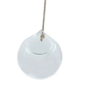 Vaso In Vetro A Sfera Diametro 12 Cm - Portafiori Idroponico Trasparente Appendibile