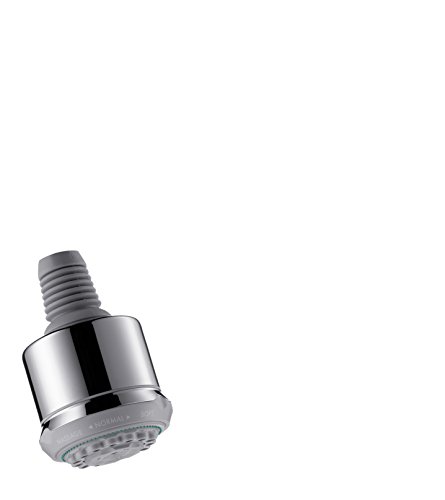 Hansgrohe 28496000 Clubmaster Kopfbrause DN 15, chrom