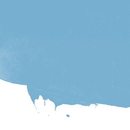 Preisvergleich Produktbild Dylon Hand Dye Sachet (NVI) 06 China blau