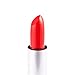SONGQEE(TM) Cosmetics Professional Makeup Aluminum Tube Lipbrush Lip Brush Silver+ Beauty Makeup Lip Stick Waterproof Lip Pencil Lipstick Lip Gloss Lip Pen