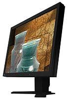 Eizo 21 Coloredge CG210 Monitor, Black, with Hood