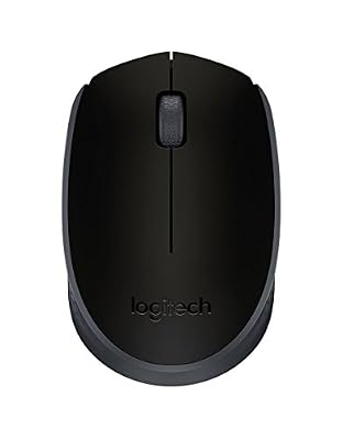 Logitech M171 Souris sans fil Noir