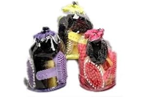 WILLIAM HUNTER EQUESTRIAN Mini Kit De Pansage Salmon- Contient Petite Brosse Dure, Petite Brosse Douce, Étrille En Caoutchouc, Peigne á Crinière, Cure-Pied, Éponge. Tout Dans Un Sac Au Cordon. Couleurs: Rouge, Bleu, Rose ou Violet