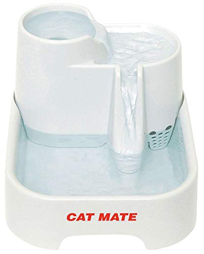 Meilleure Fontaine à Eau Pour Chat Guide Dachat