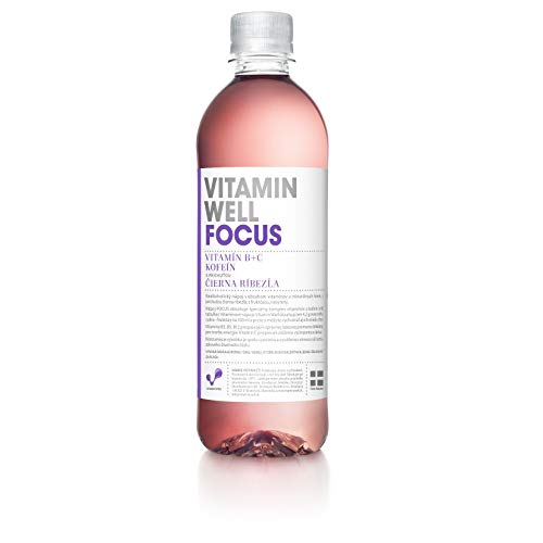 Vitamina Well Focus 12 X 500 ML