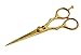 Professional Golden Hairdressing Scissors 5.5" (14 cm) + Matching Presentation Case