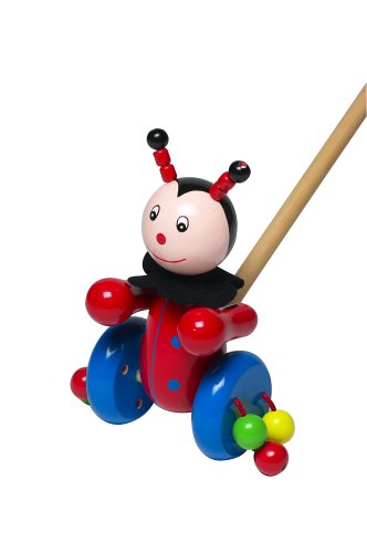Ladybird Push Along