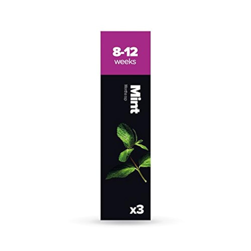 Mint Shop Отзывы О Магазине
