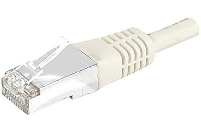 Dexlan Cordon reseau patch RJ45 SSTP CAT 6a 0,50 m