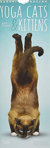 Download Yoga Cats & Kittens 2019 Slimline-Kalender: Original BrownTrout-Kalender