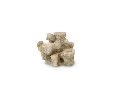 euopet Bernina Internacional Aquarian decoración Aqua Della para 3 Arrecife de Coral, 15 x 12 x 13 cm