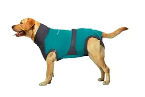 MAXX Surgery Suit For Dogs: Post Surgery Pet Clothing, Medical Pet Clothing, Surgical Recovery Suits For Dogs | E Collar Alternative For Dogs Neuter, Pet Anxiety Wrap, Post Surgery Dog Onesie (M, Peacock Blue Grey)