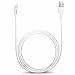 Produktbild Pisen Lightning / USB Kabel - iOS 8 - iPad 4, iPad mini, iPhone 6, iPhone 6 Plus, iPhone 5, iPhone 5S, iPhone 5C, iPod Touch 5G, iPod Nano 7G, iPad Air, iPad mini - Weiß