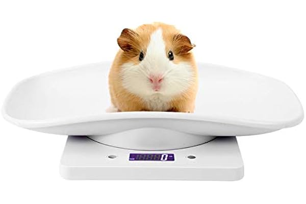 Balance Numérique pour Animaux de Compagnie, Balance Numérique de Précision avec Ecran LCD 4 Modes de Pesée (g/ml/oz/lb) Capacité Jusqu'à 10kg Antidérapant pour Chaton Chiots Tortue Hamster