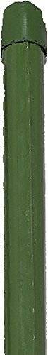 Preisvergleich Produktbild Pflanzstab Grün 11X900mm