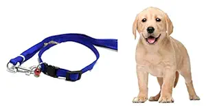 S.Blaze 1/2 INCH Blue Designed Belt for Your Puppy, CAT & Small Dog Collar Belt, Dog Collar & Leash (Small, Multi Color), rodents, Nylon, (Pack of 1)