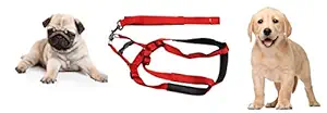 S.Blaze 1/2 Inch Red Designed Body Harness for Your Puppy & Small Dog Collar Belt, Puppy Collar & Leash