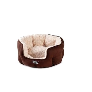 Do Not Disturb No Molestar Oval Gato Cama, Chocolate