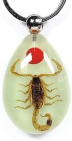 SZcsy-Personalized key buckle insect amber key button - scorpion