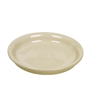 Nobby Plato de Leche de cerámica para Gatos, 14 cm de diámetro x 2 cm
