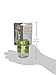 OXO Tot 200 ml Training Cup (Green)