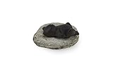Moycor Dallas Figura Rana, Hierro y Piedra, Gris/Negro, 9X10X7 Cm